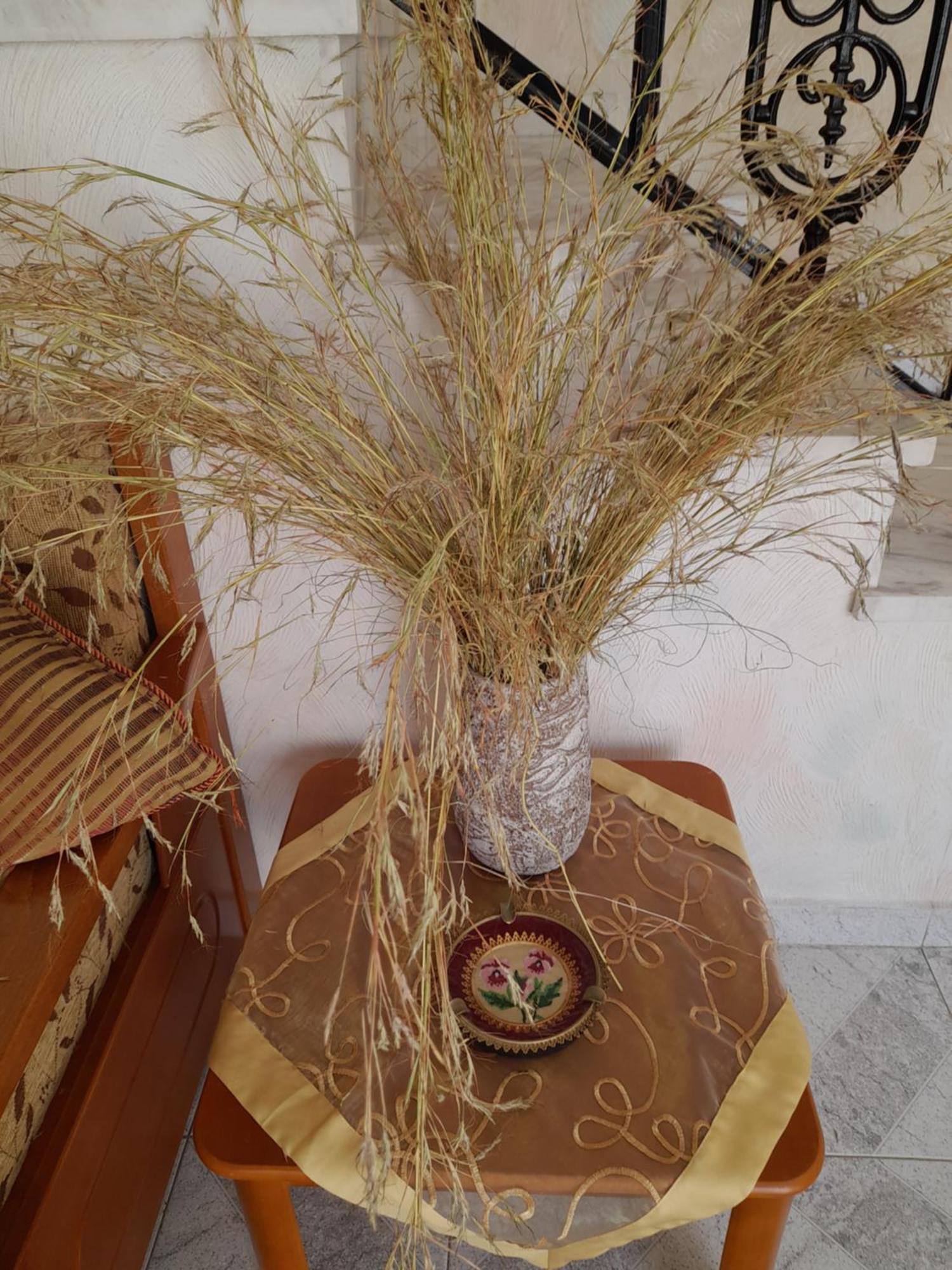 فيلا Art House Syros إرموبولّي المظهر الخارجي الصورة